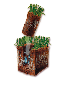 aeration-top Core Aeration